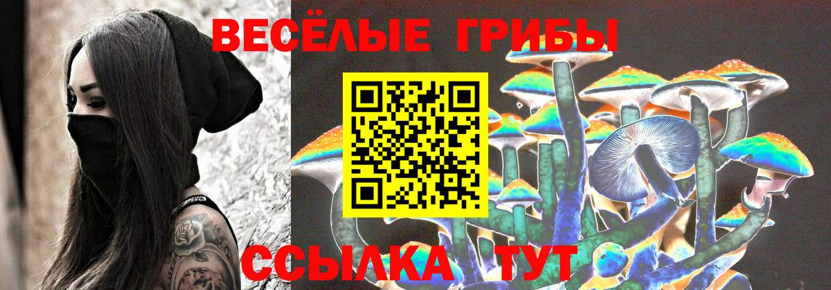 Псилоцибиновые грибы Psilocybine cubensis Ипатово