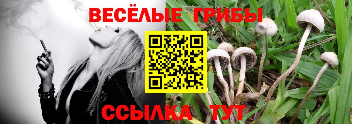 Псилоцибиновые грибы мухоморы  Вход с VPN  Ипатово 